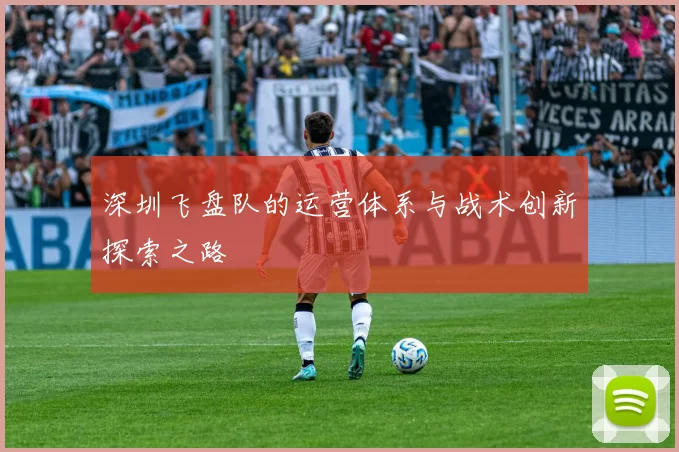 深圳飞盘队的运营体系与战术创新探索之路