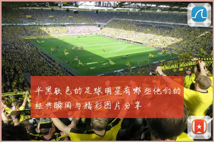 半黑肤色的足球明星有哪些他们的经典瞬间与精彩图片分享