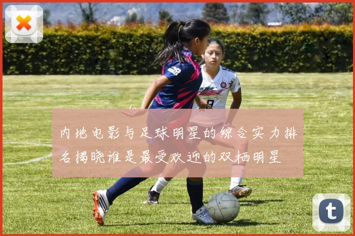 内地电影与足球明星的综合实力排名揭晓谁是最受欢迎的双栖明星