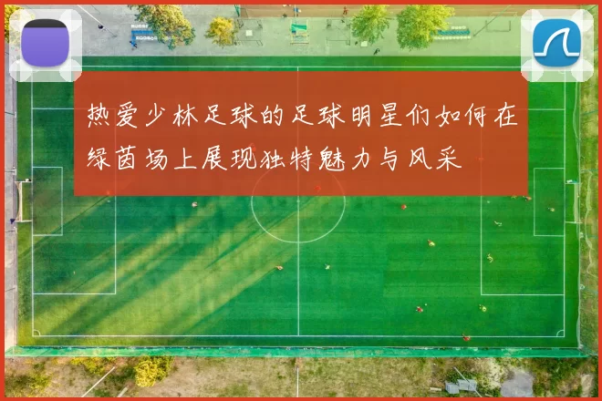 热爱少林足球的足球明星们如何在绿茵场上展现独特魅力与风采