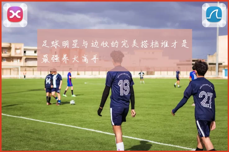 足球明星与边牧的完美搭档谁才是最强养犬高手