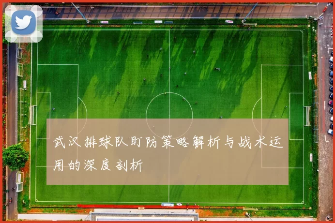 武汉排球队盯防策略解析与战术运用的深度剖析
