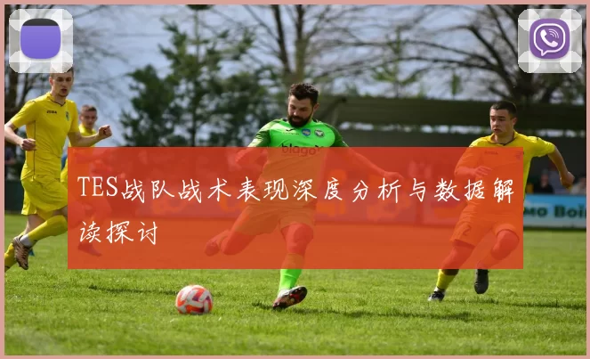TES战队战术表现深度分析与数据解读探讨