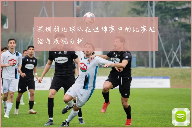 深圳羽毛球队在世锦赛中的比赛经验与表现分析