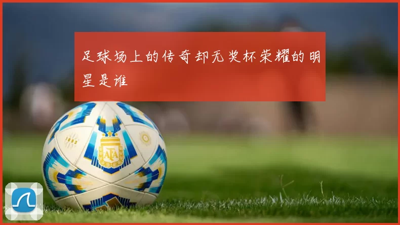 足球场上的传奇却无奖杯荣耀的明星是谁