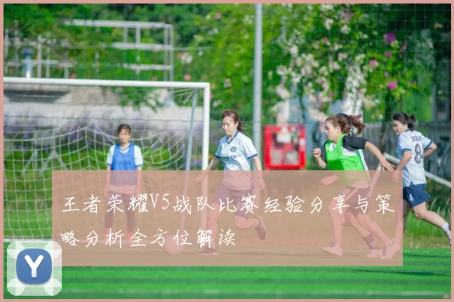 王者荣耀V5战队比赛经验分享与策略分析全方位解读
