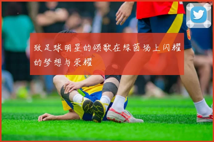 致足球明星的颂歌在绿茵场上闪耀的梦想与荣耀