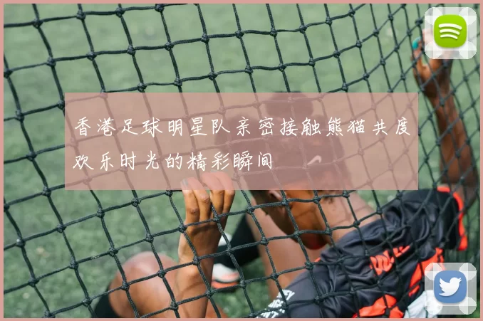 香港足球明星队亲密接触熊猫共度欢乐时光的精彩瞬间