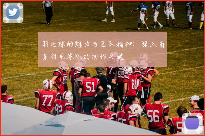 羽毛球的魅力与团队精神：深入南京羽毛球队的协作之道