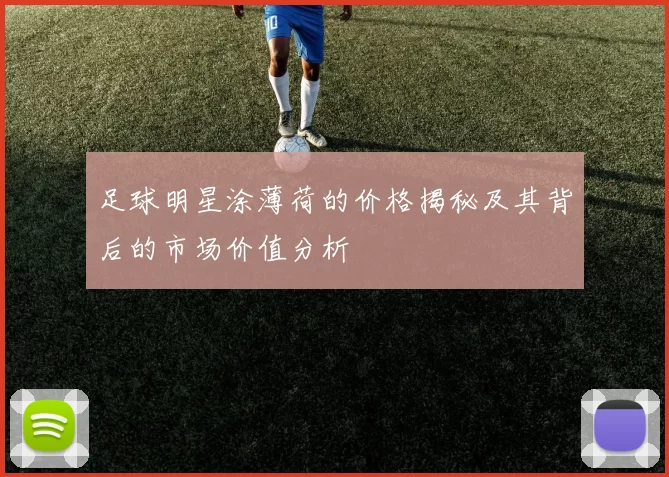 足球明星涂薄荷的价格揭秘及其背后的市场价值分析