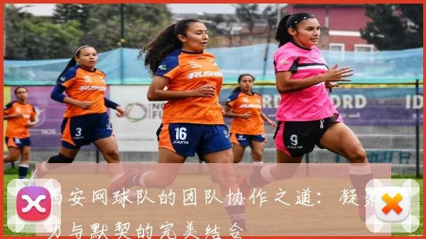 西安网球队的团队协作之道：凝聚力与默契的完美结合