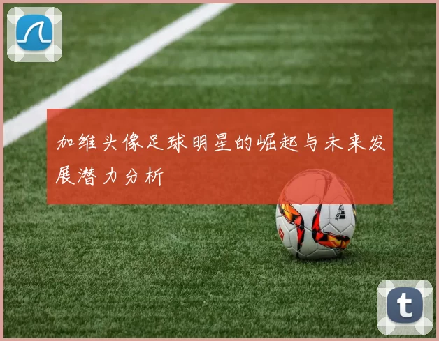 加维头像足球明星的崛起与未来发展潜力分析