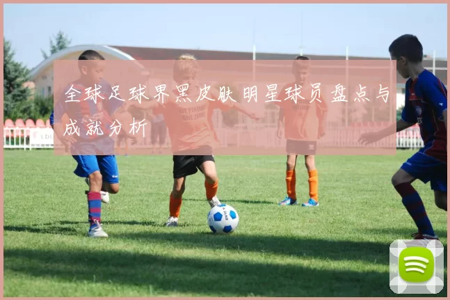 全球足球界黑皮肤明星球员盘点与成就分析